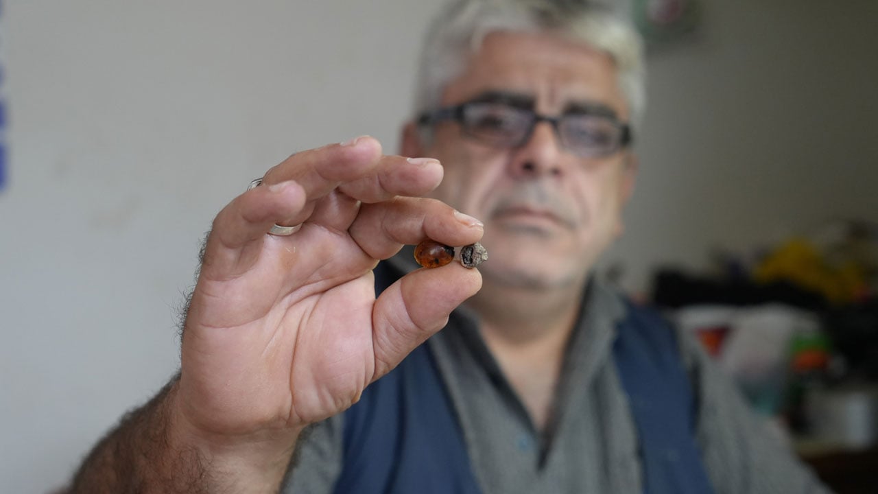 Keserken fark etti… Kehribarın içinden milyonlarca yıllık sürpriz çıktı