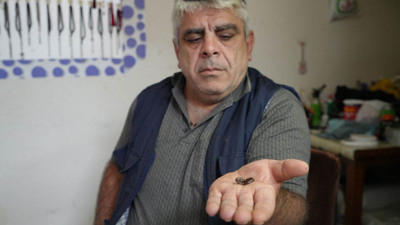 Foto - Keserken fark etti… Kehribarın içinden milyonlarca yıllık sürpriz çıktı