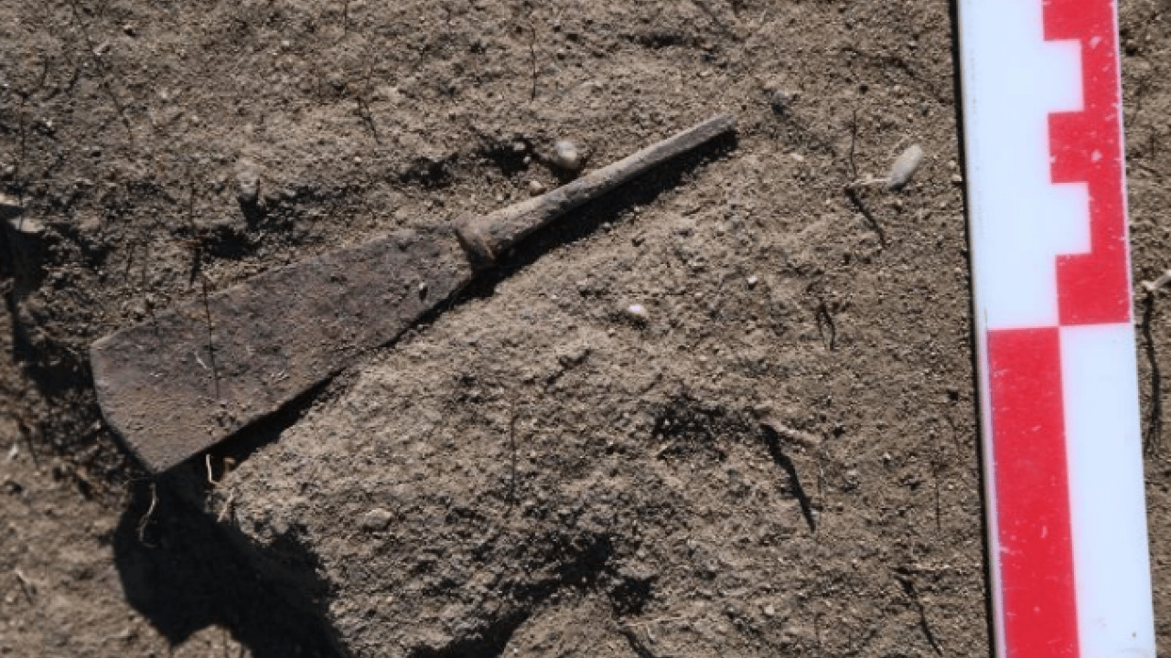 Foto - Keşiflerin en büyüğü ortaya çıktı! Bakın ne isim verdiler