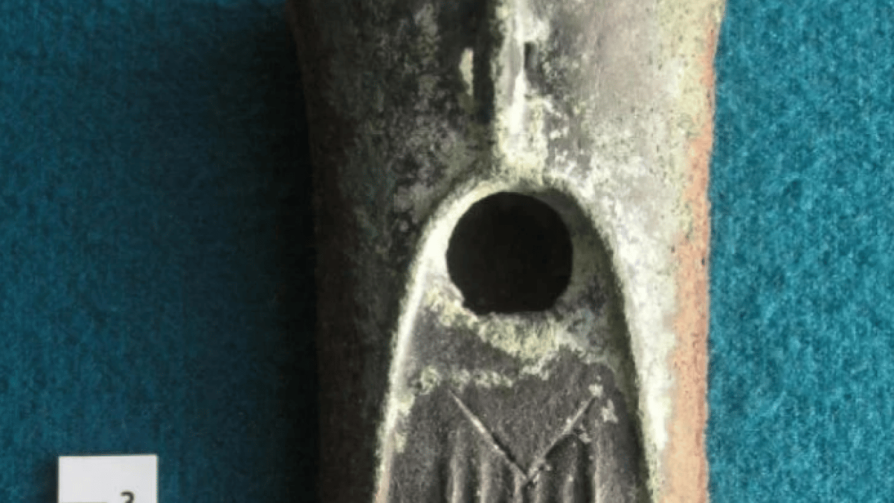 Foto - Keşiflerin en büyüğü ortaya çıktı! Bakın ne isim verdiler