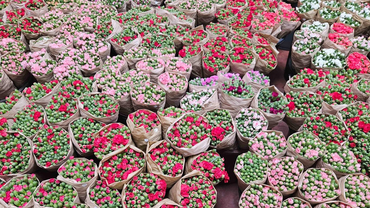 Kesme çiçekte rekor yılı! 160 milyon dolarlık ihracat 