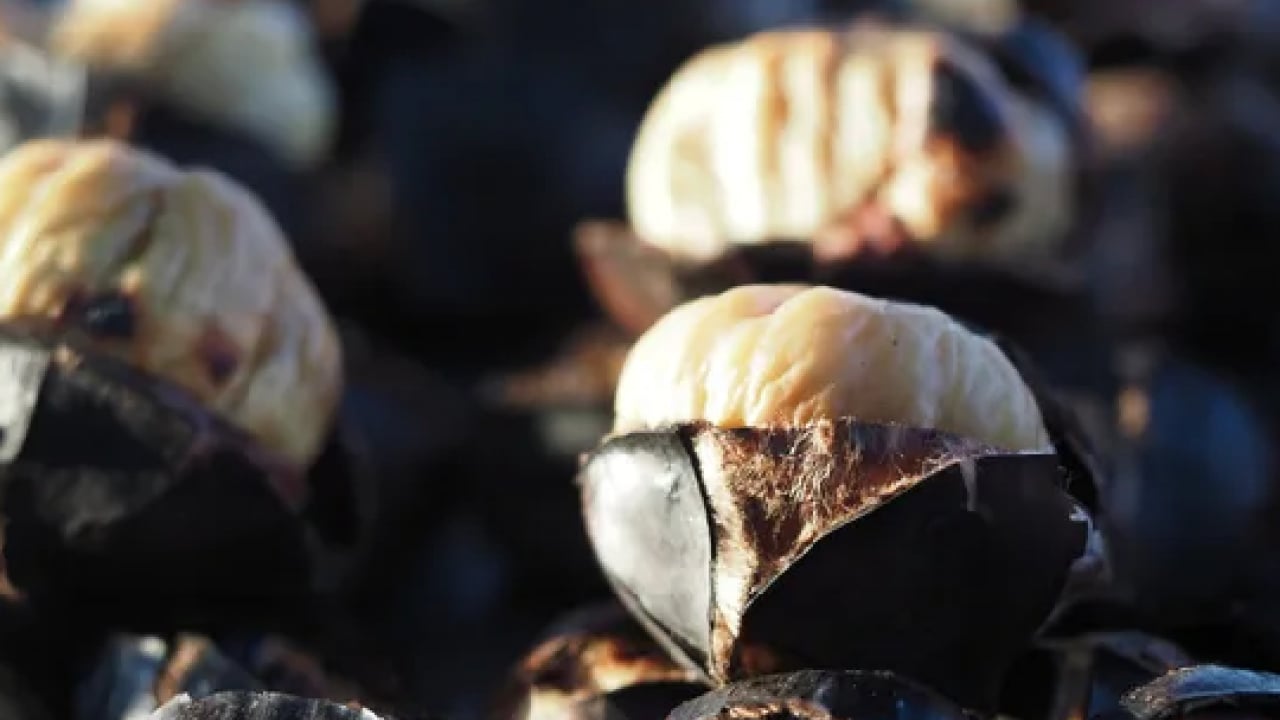 Foto - Kestaneyi mükemmel pişirmenin püf noktası meğer burada saklıymış! İnce detay...