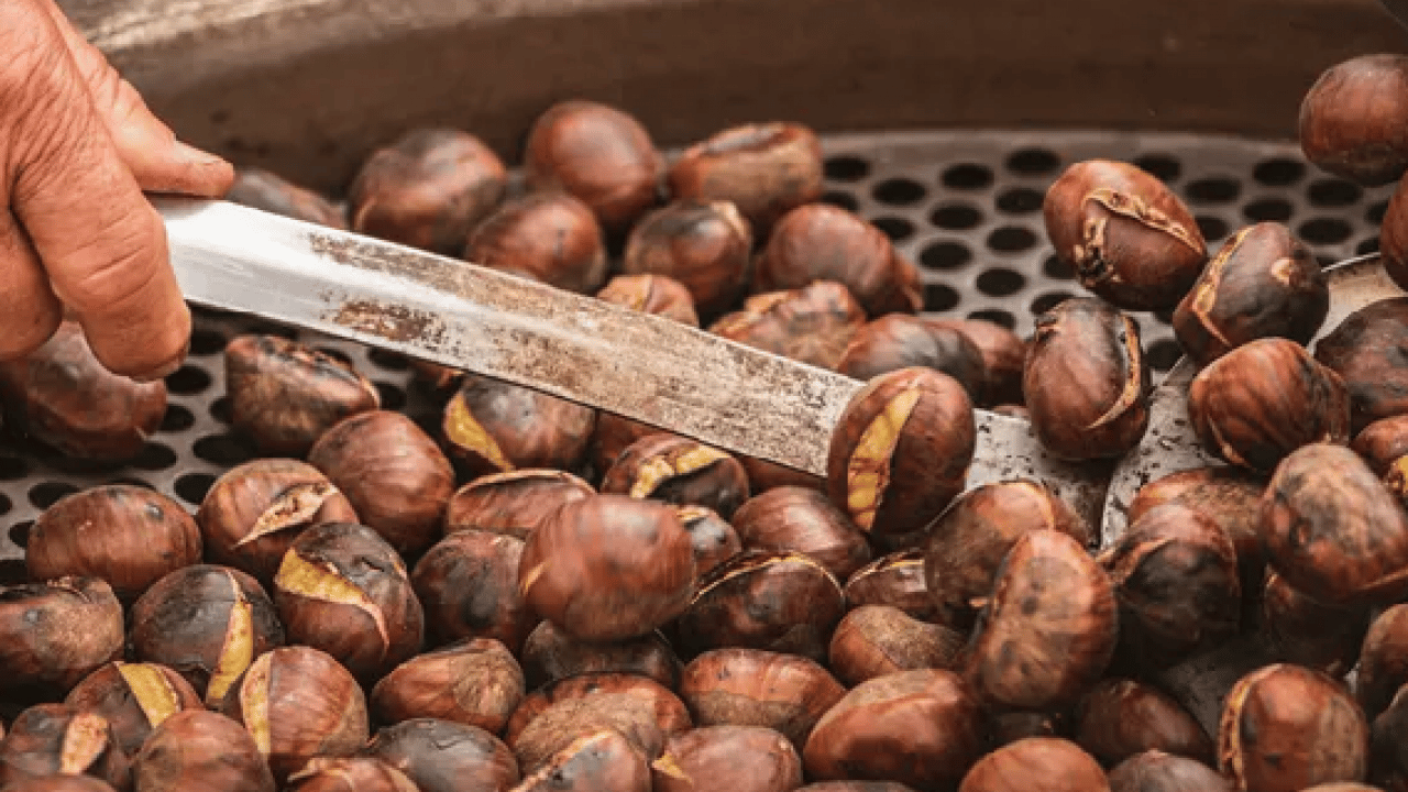 Foto - Kestaneyi mükemmel pişirmenin püf noktası meğer burada saklıymış! İnce detay...