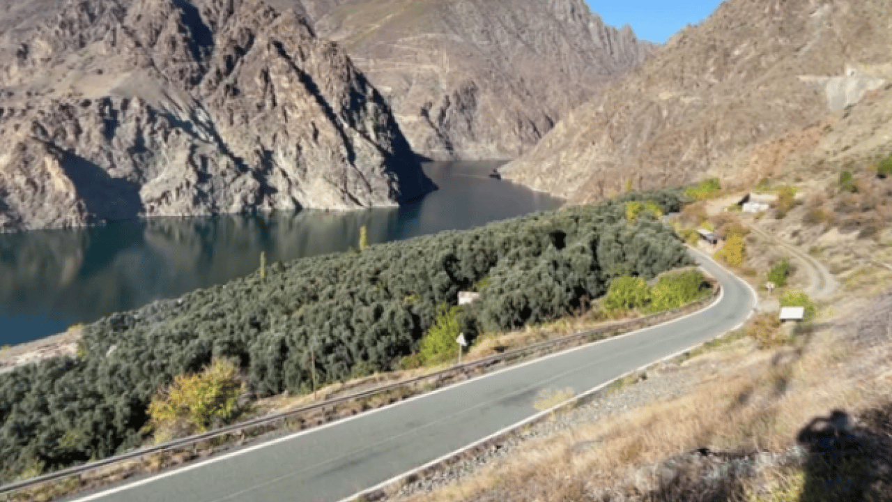 Foto - Kilo fiyatı 400 TL! Dünyada ünlü ve ödül kazandı