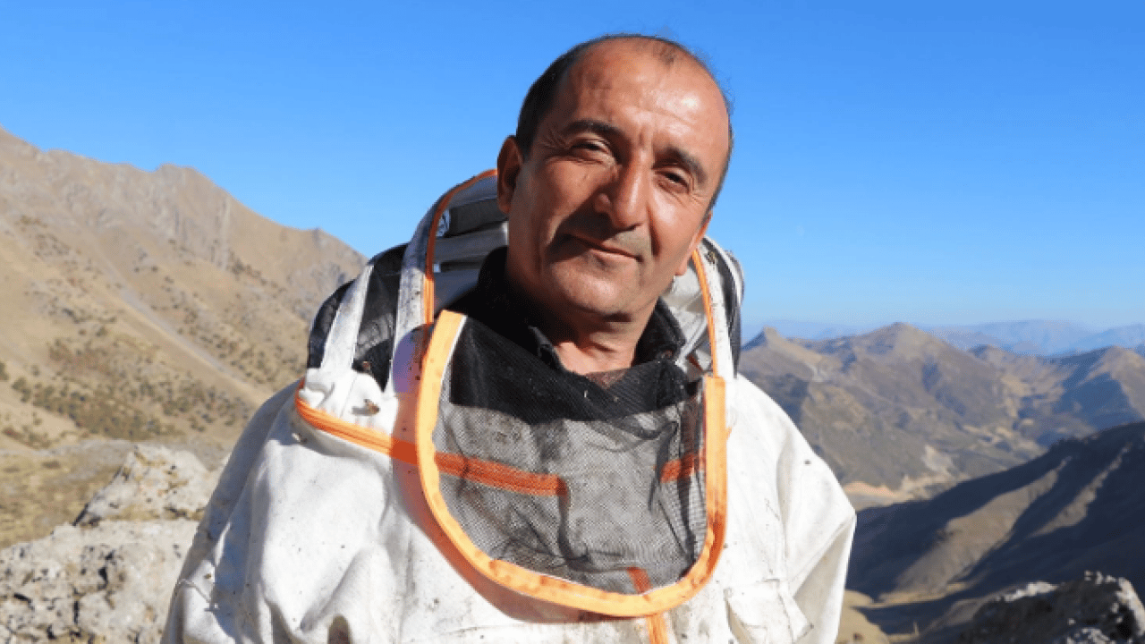 Foto - Kilo fiyatı dudak uçuklattı! Özel izinle bölgeye girip topladılar