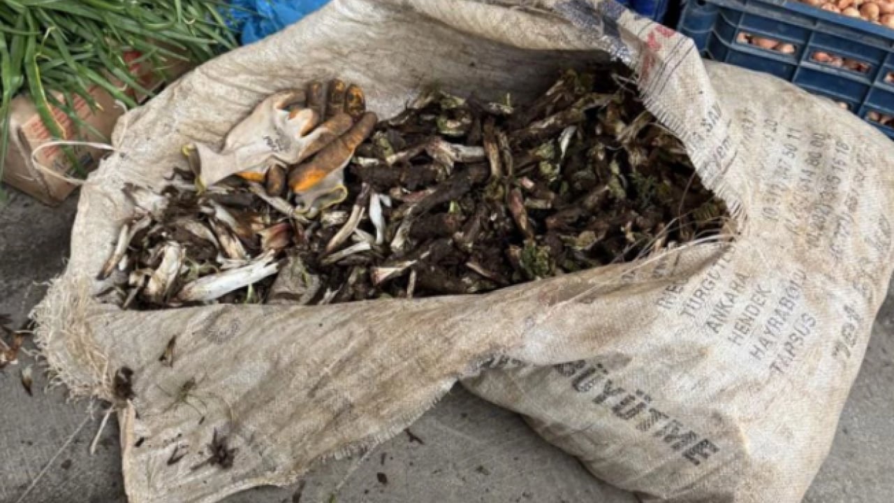 Foto - Kilo fiyatı kafaları karıştırdı! Satıcıya göre ucuz alıcıya göre pahalı