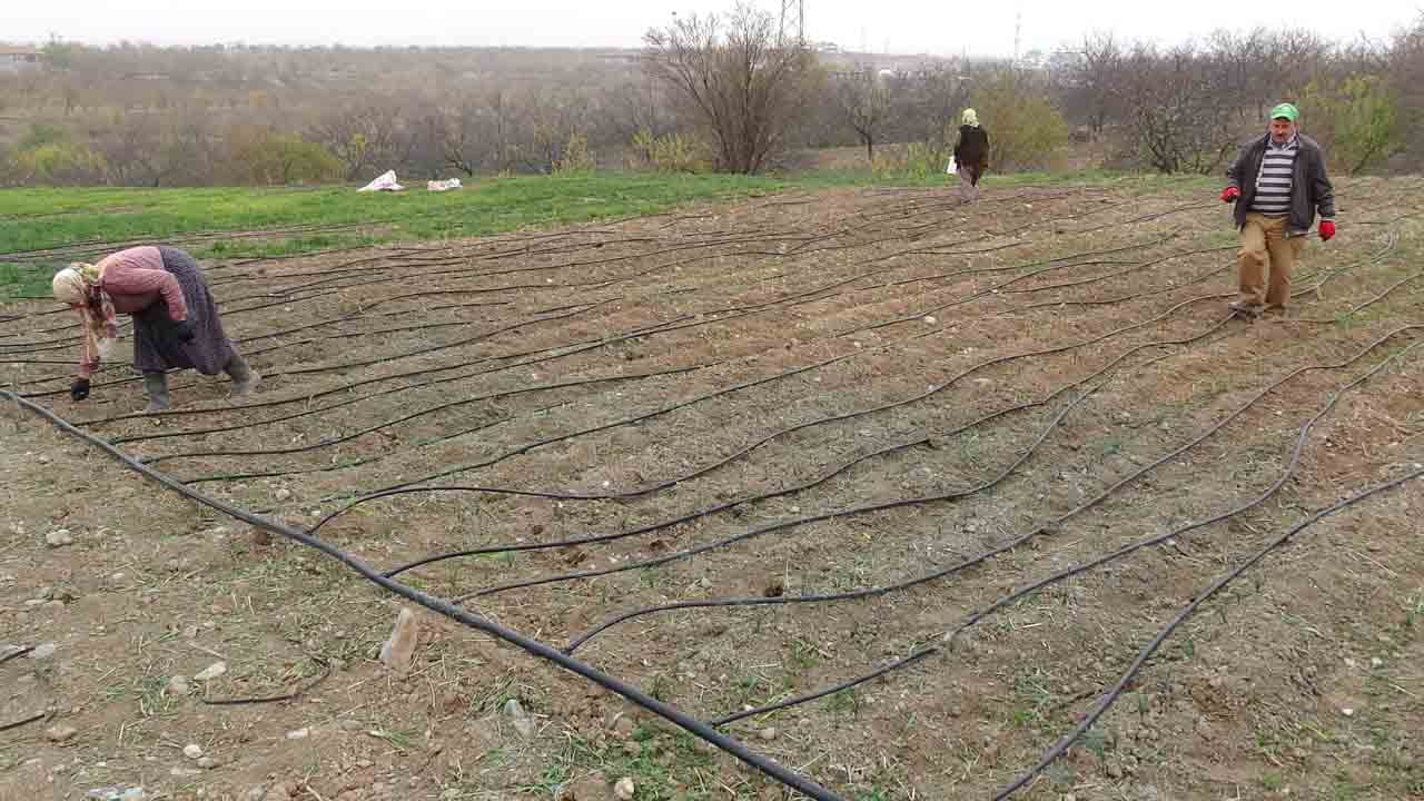 Foto - Kilosu 2 bin 500 liraya kadar çıkıyor: Talep çok ürün yok