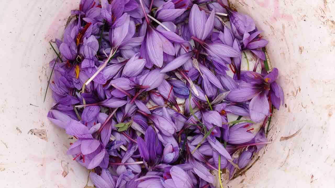 Foto - Kilosu 2 bin 500 liraya kadar çıkıyor: Talep çok ürün yok