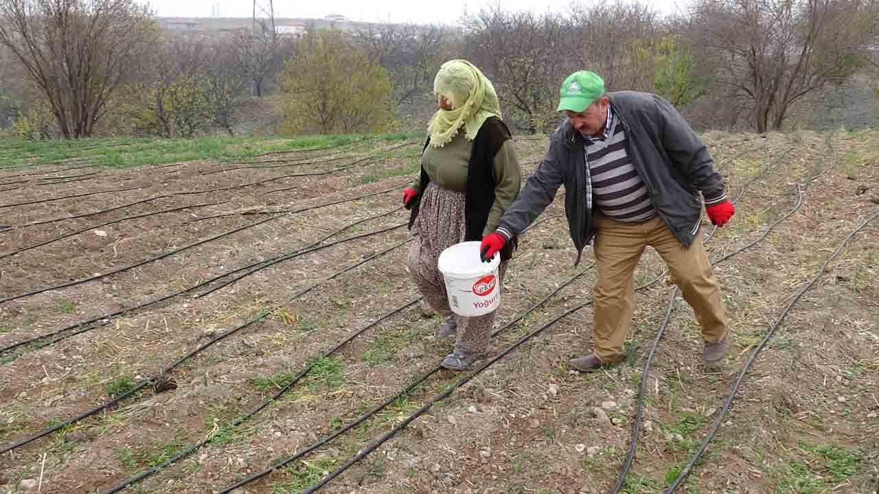 Foto - Kilosu 2 bin 500 liraya kadar çıkıyor: Talep çok ürün yok