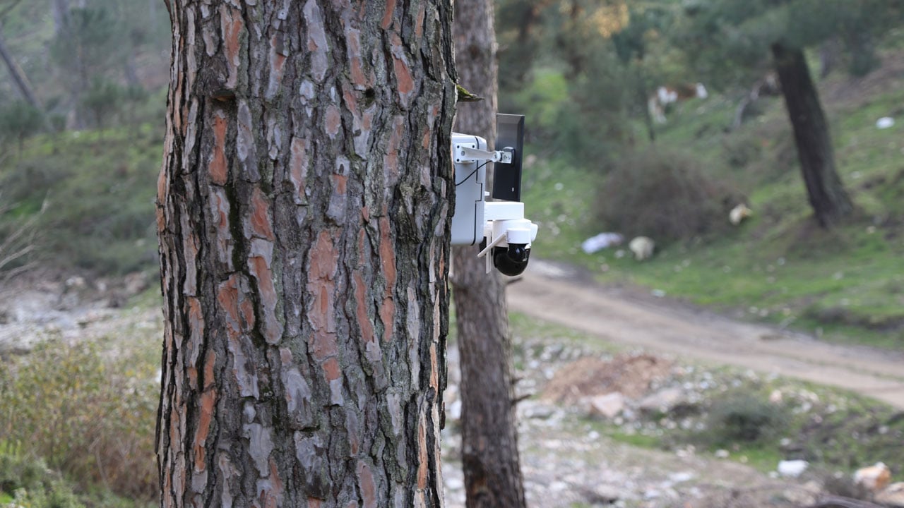 Kilosu 3 bin lirayı buldu! Altın değerindeki ürün böyle korunuyor