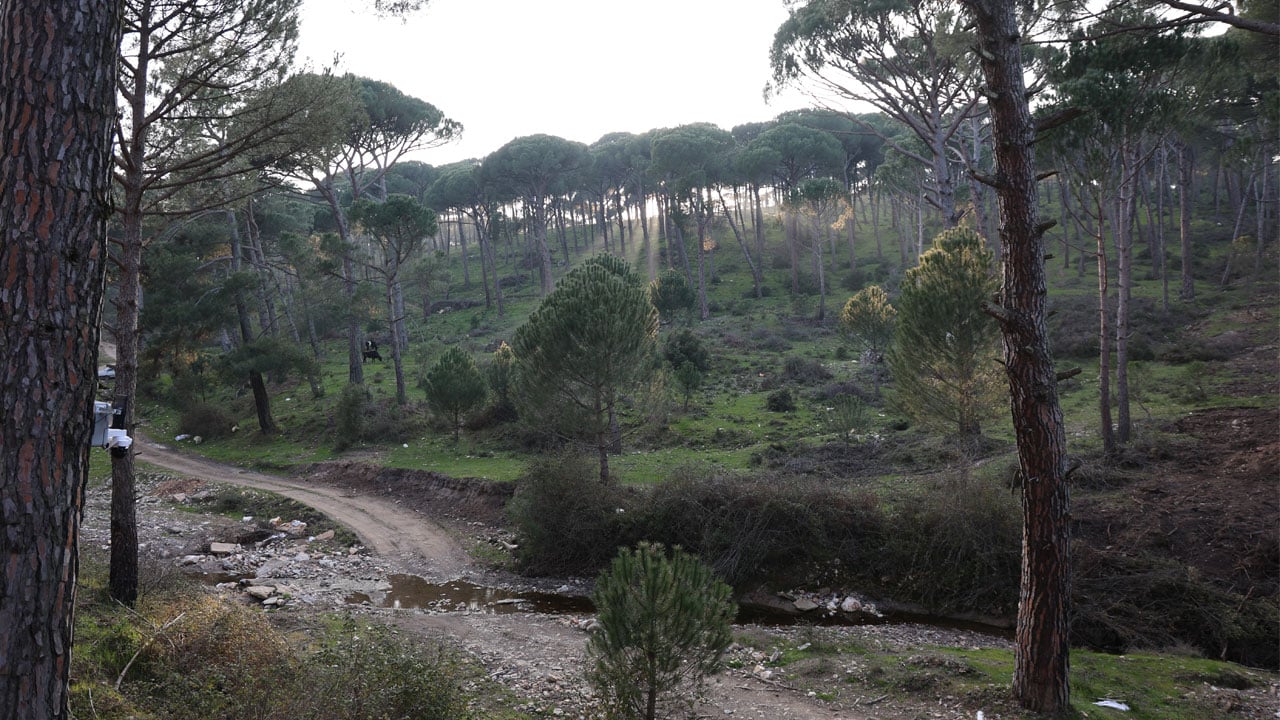 Foto - Kilosu 3 bin lirayı buldu! Altın değerindeki ürün böyle korunuyor