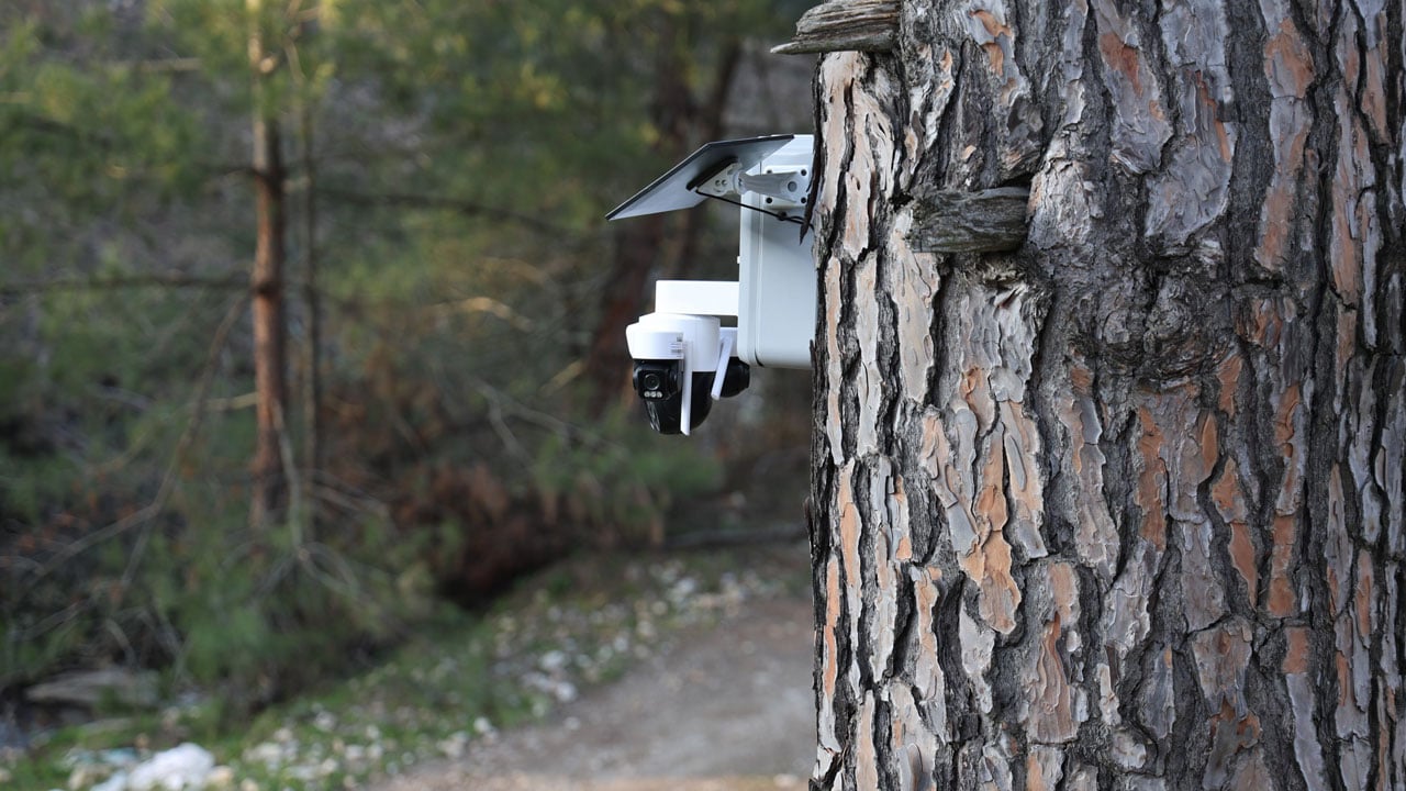 Foto - Kilosu 3 bin lirayı buldu! Altın değerindeki ürün böyle korunuyor