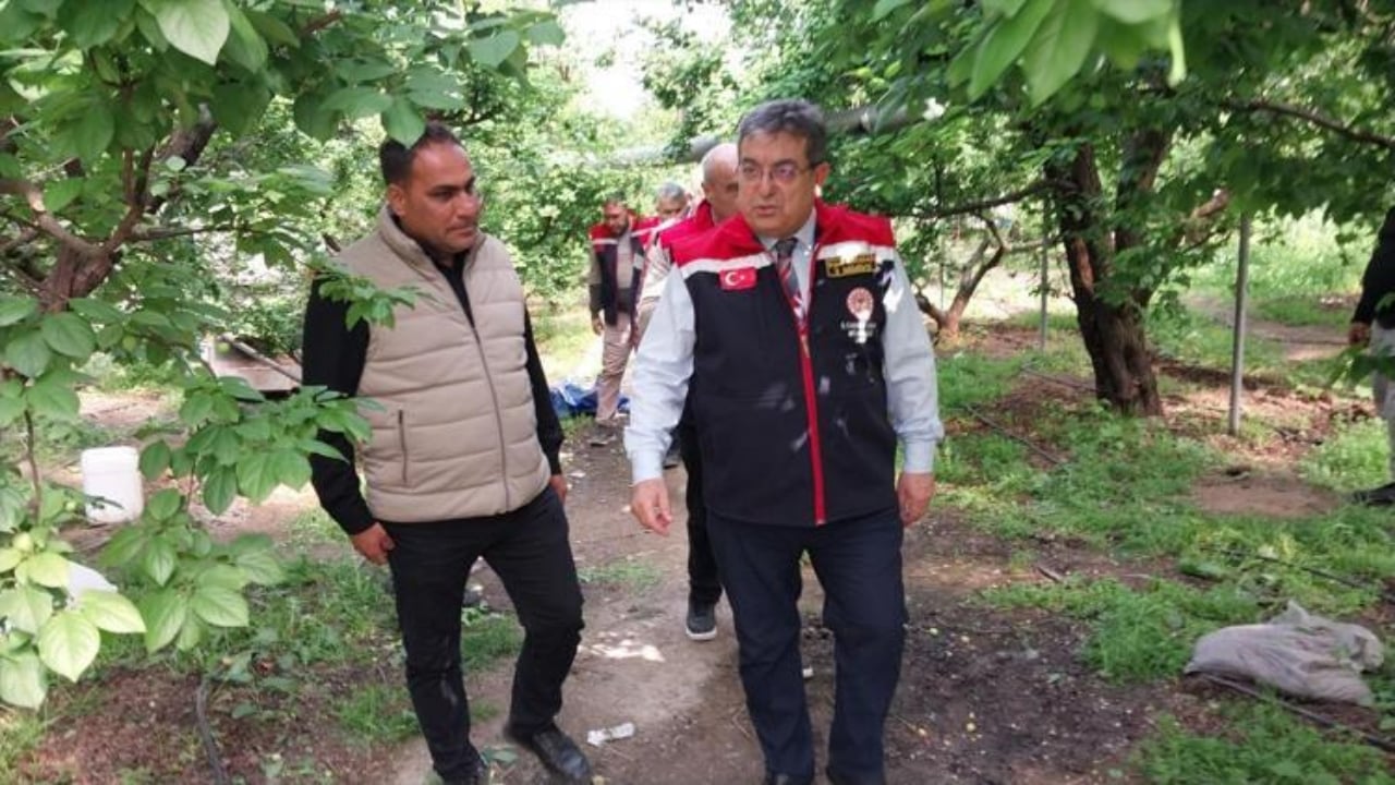 Kilosu 4 bin liradan 2 bin liraya düştü: Böbrekleri tertemiz yapıyor, toksinlerden zerre eser kalmıyor