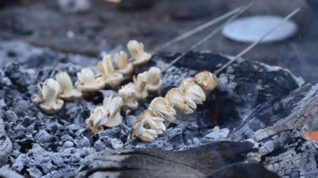 Foto - Kilosu 500 TL’ye satılıyor ama..! Köylülere 'dikkatli olun' uyarısı geldi