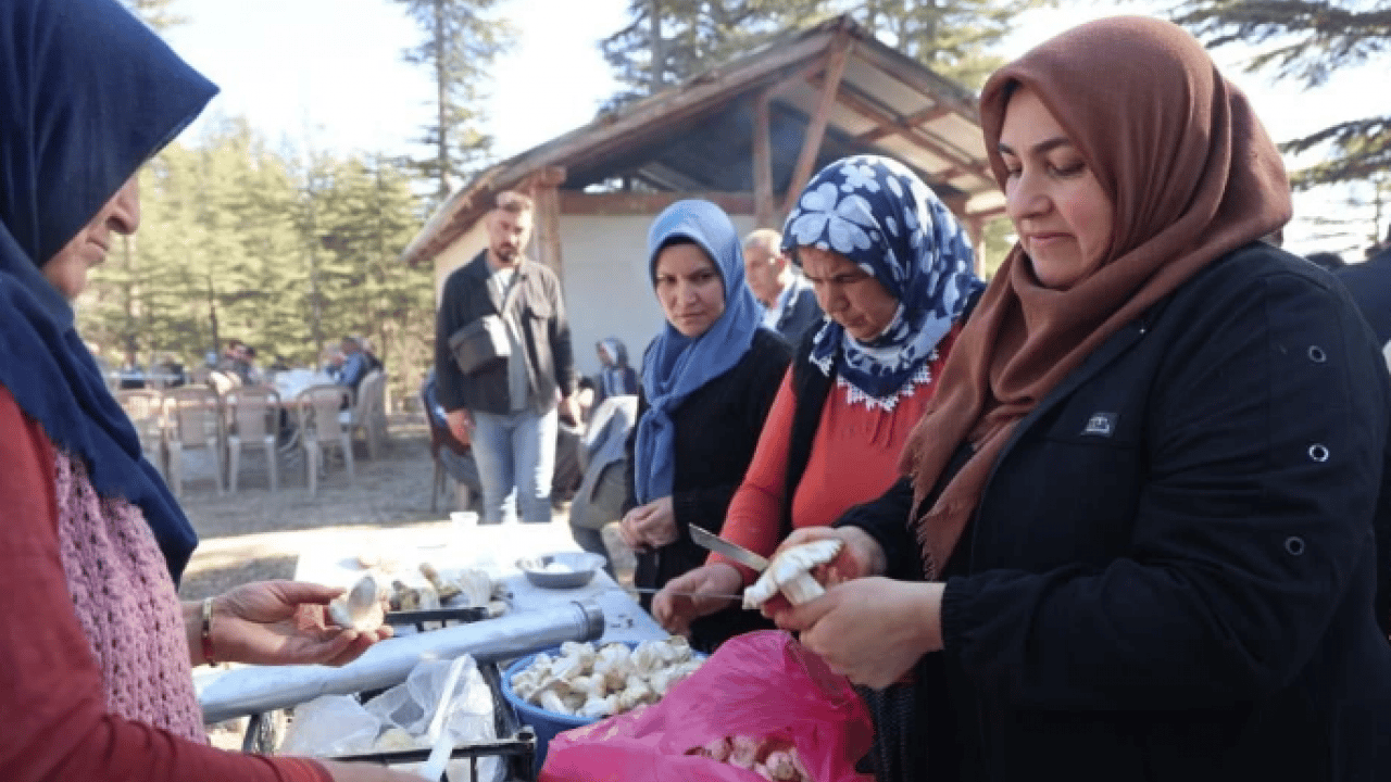 Foto - Kilosu 500 TL’ye satılıyor ama..! Köylülere 'dikkatli olun' uyarısı geldi