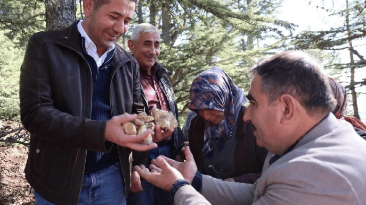 Foto - Kilosu 500 TL’ye satılıyor ama..! Köylülere 'dikkatli olun' uyarısı geldi