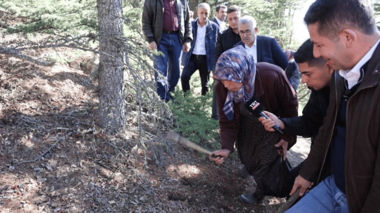 Kilosu 500 TL’ye satılıyor ama..! Köylülere 'dikkatli olun' uyarısı geldi