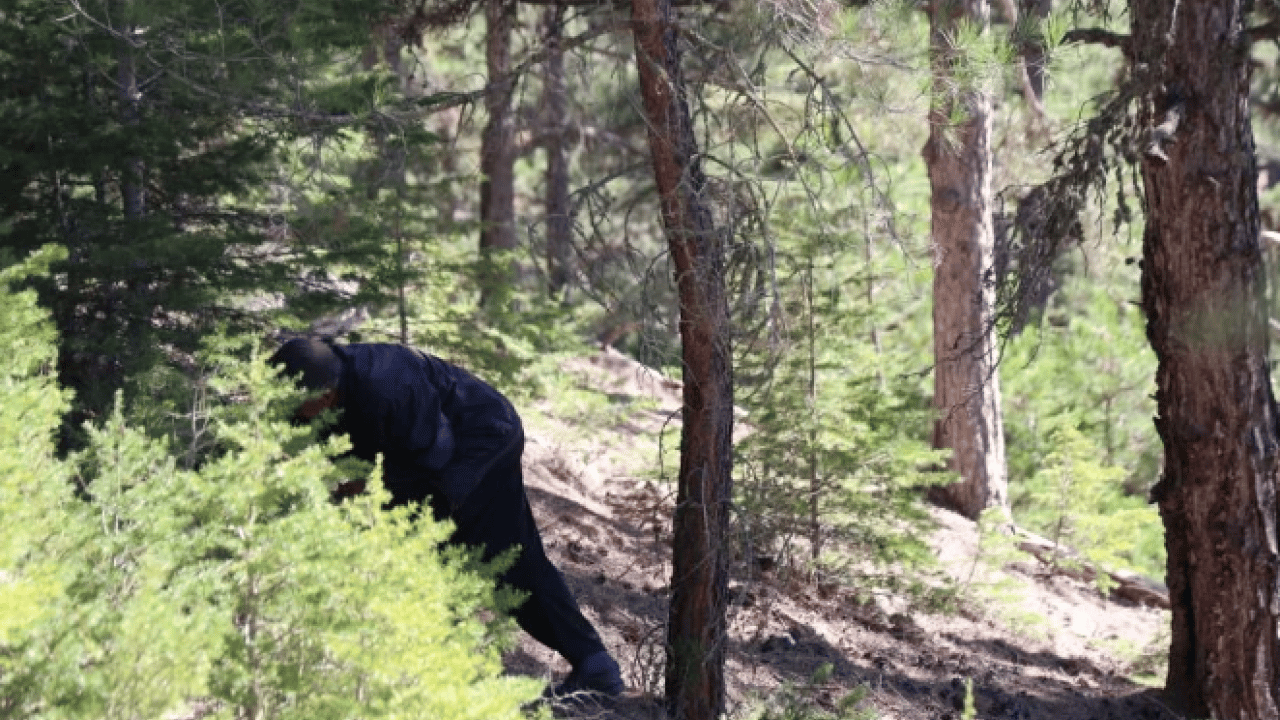 Foto - Kilosu 500 TL’ye satılıyor ama..! Köylülere 'dikkatli olun' uyarısı geldi