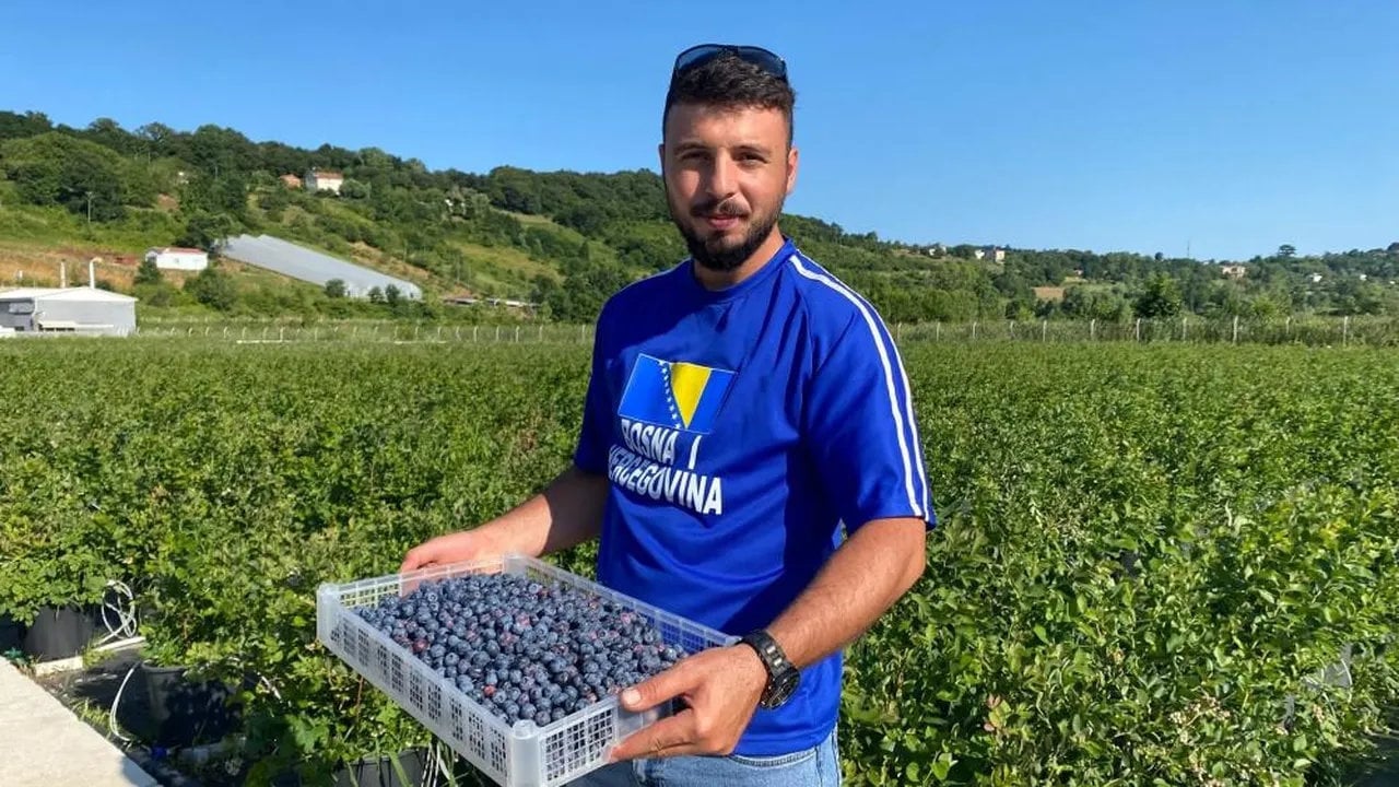 Foto - Kilosu 700 liraya çıktı, ama siparişlere yetişemiyorlar! Sinop’un "mavi altını" peynir ekmek gibi satılıyor