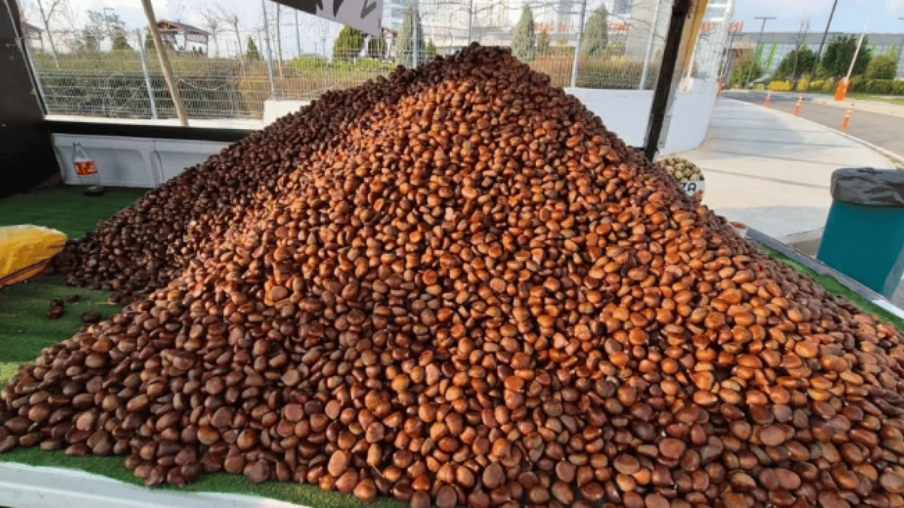 Kilosu 175 liradan satılıyor! Havaların soğumasıyla yıldızı parladı