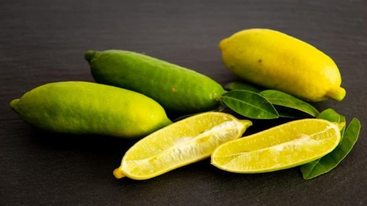 Foto - Kilosu tamı tamına 7 bin TL! Balkondaki saksıda bile yetişiyor, getirisiyle ev ve araba aldırıyor