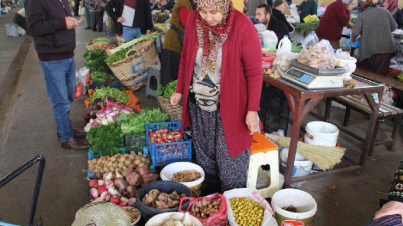 Foto - Kilosunun fiyatı 400 TL! Ormandan kova kova toplayıp sattılar