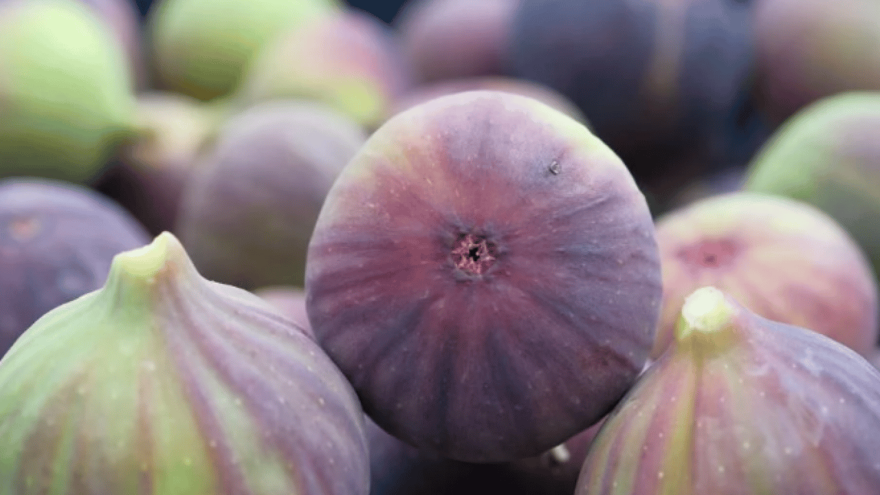 Foto - Kilosunun fiyatı yüzleri güldürdü! ‘Bursa Karası'na yurt dışından yoğun talep