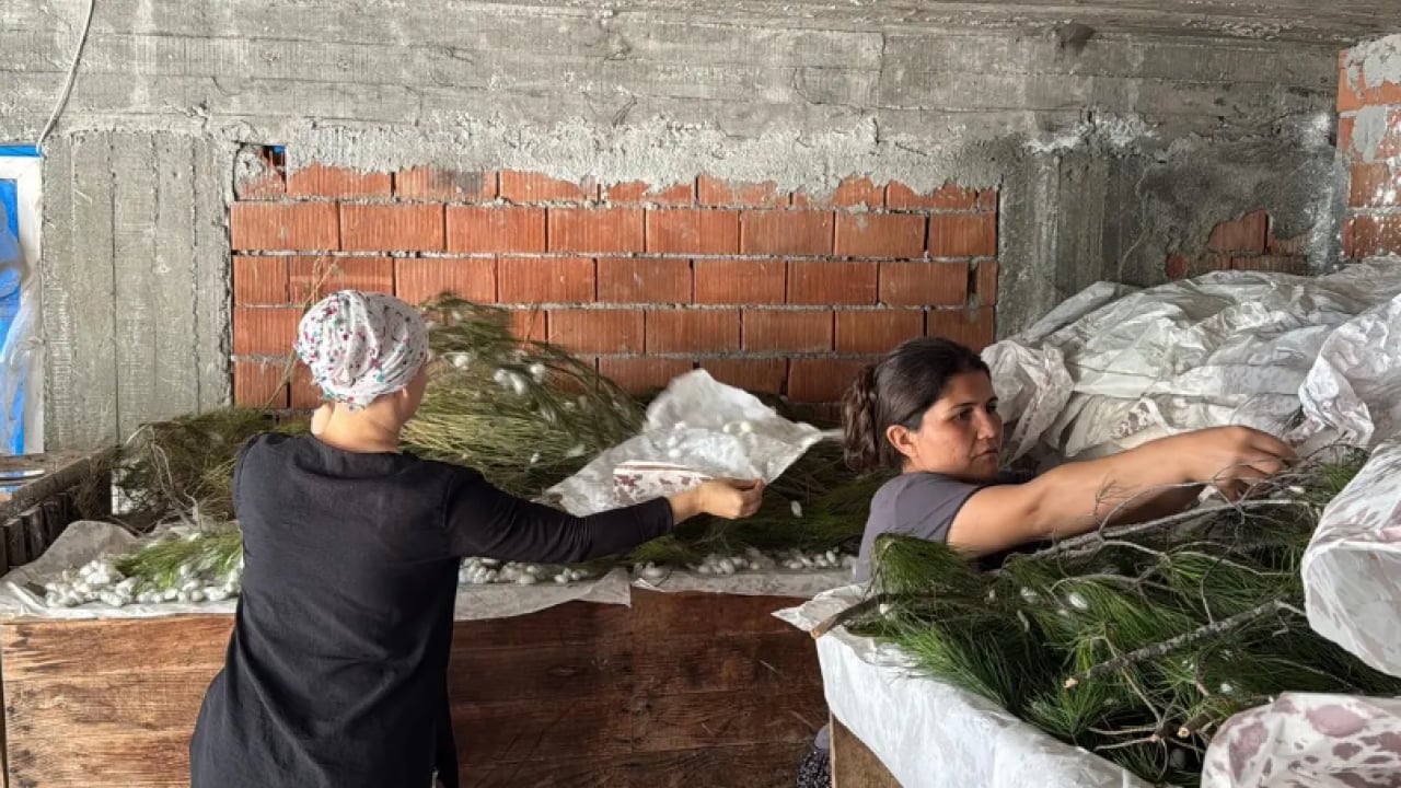 Foto - Kimsenin yüzüne bakmadığı meslek! Tek paketten 80 bin TL kazanıyorlar!