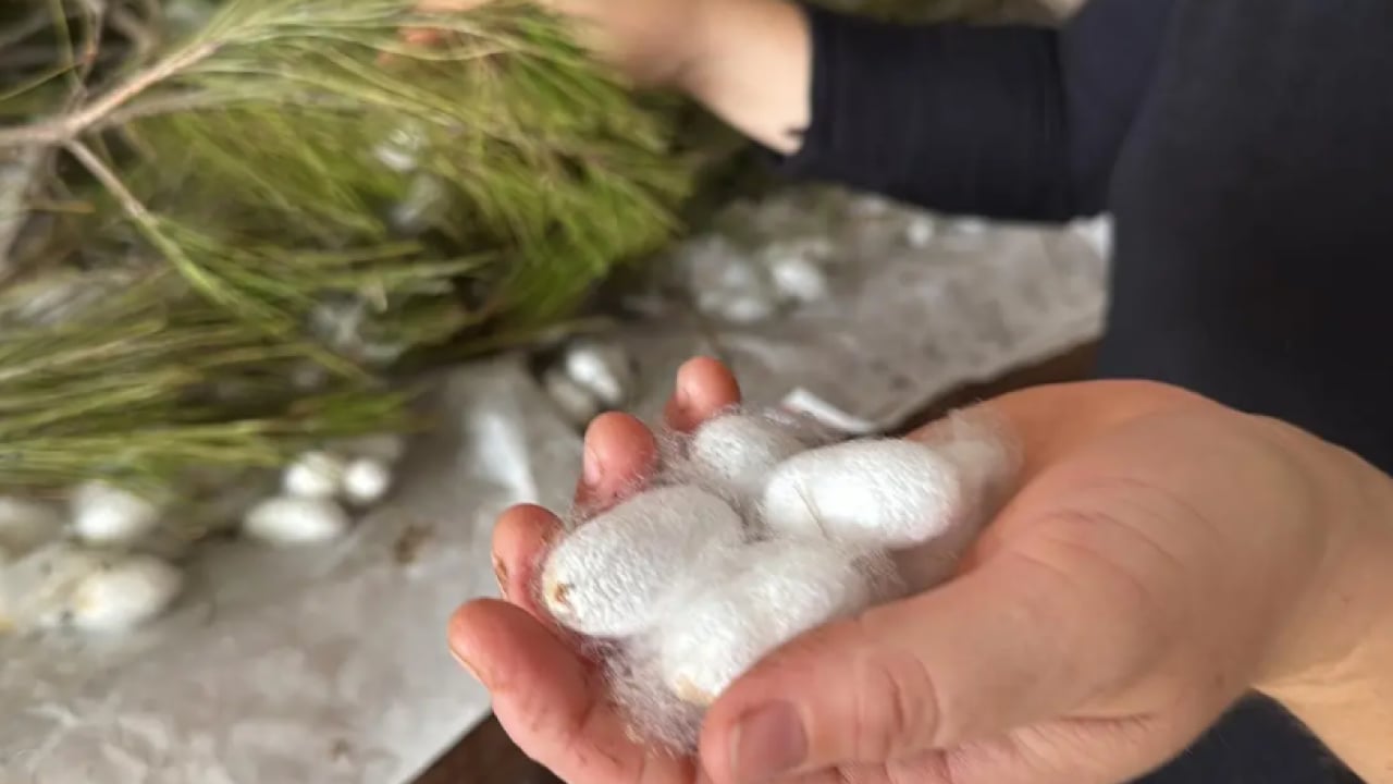 Foto - Kimsenin yüzüne bakmadığı meslek! Tek paketten 80 bin TL kazanıyorlar!