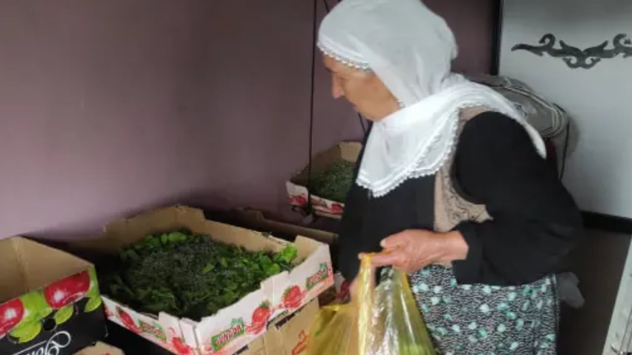 Kimsenin ilgilenmediği meslek geri döndü! Bir aile 40 günde 350 bin lira kazanabilir!