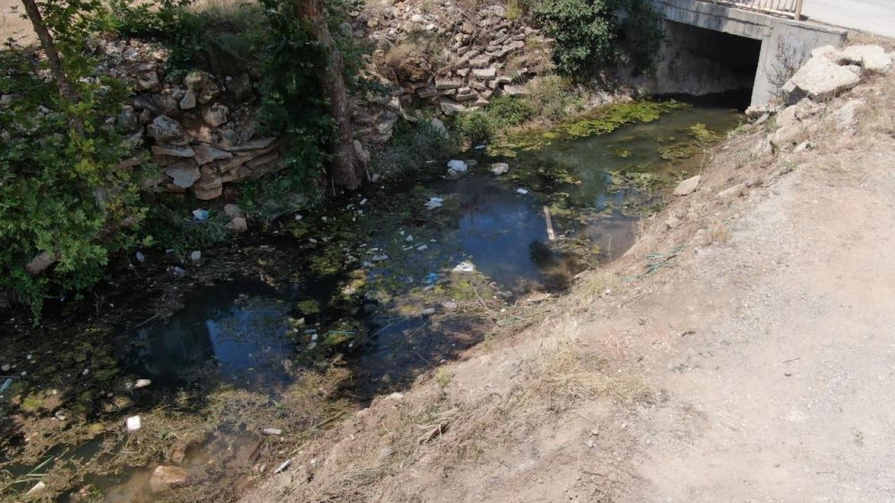 Foto - Kirlilik yüzünden çevre felaketi yaşayacağız