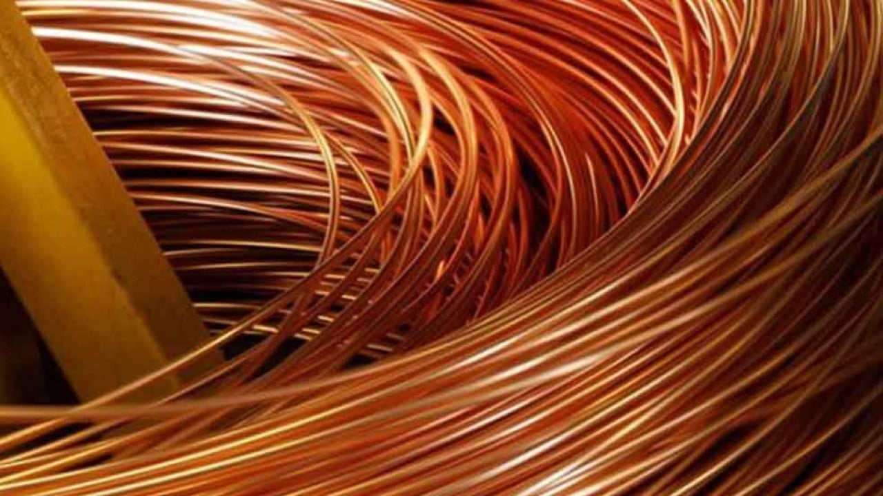 Foto - Kırmızı altın kış uykusundan uyandı, füze gibi fırladı