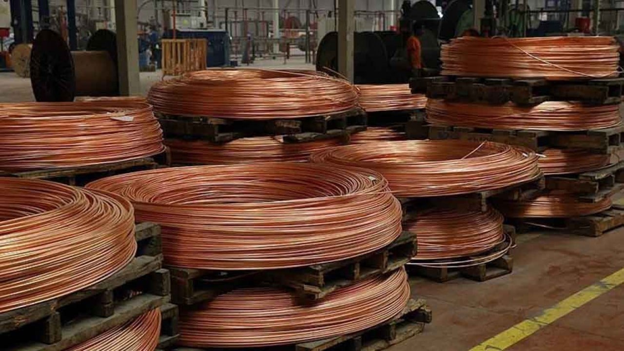 Foto - Kırmızı altın kış uykusundan uyandı, füze gibi fırladı