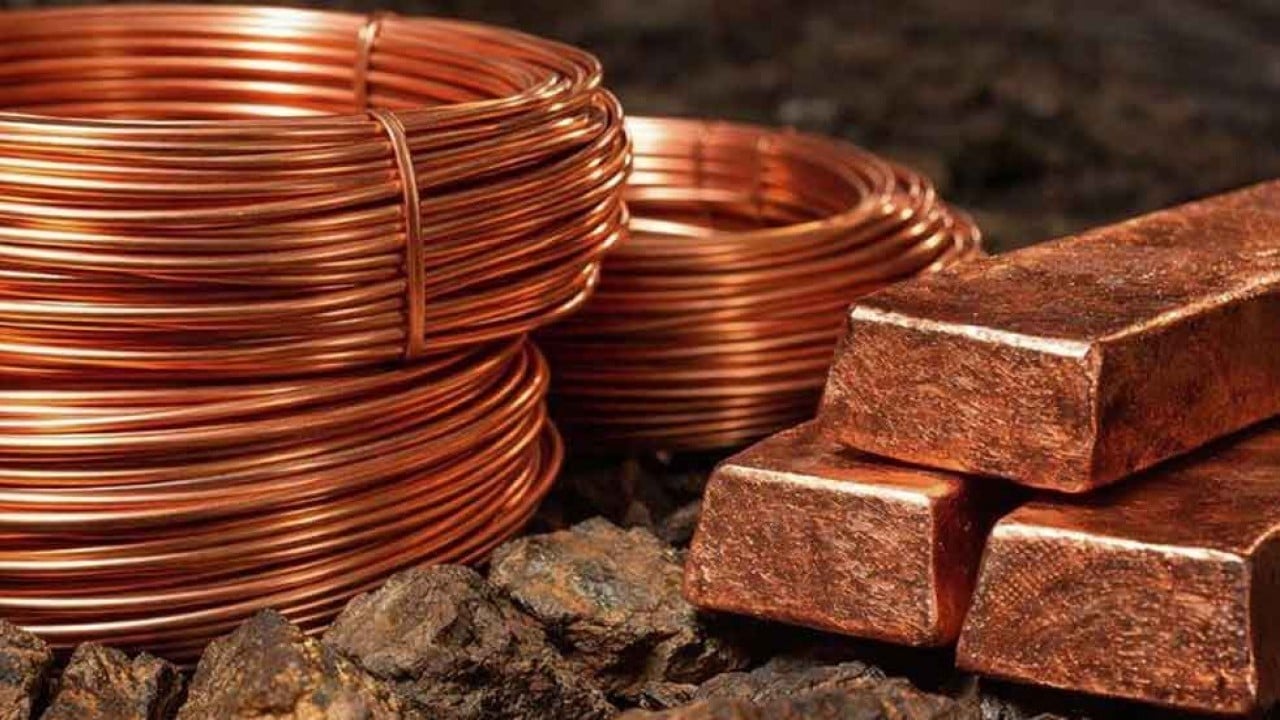 Kırmızı altın kış uykusundan uyandı, füze gibi fırladı