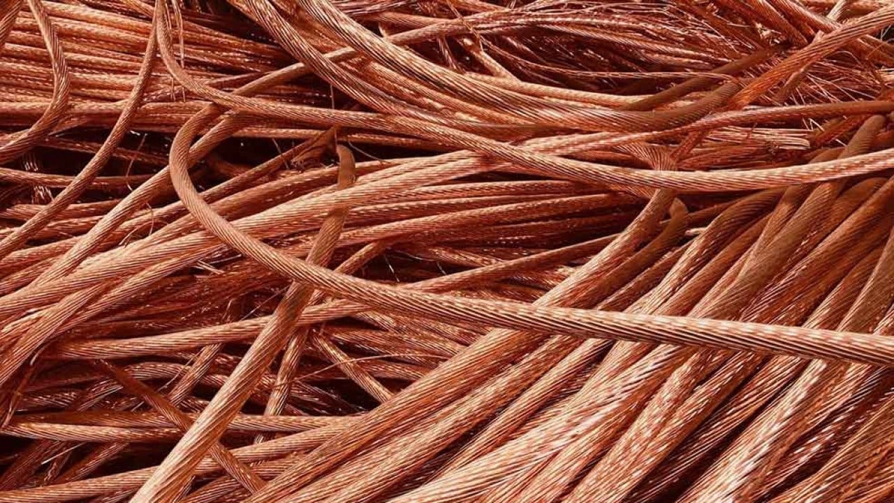 Foto - Kırmızı altın kış uykusundan uyandı, füze gibi fırladı