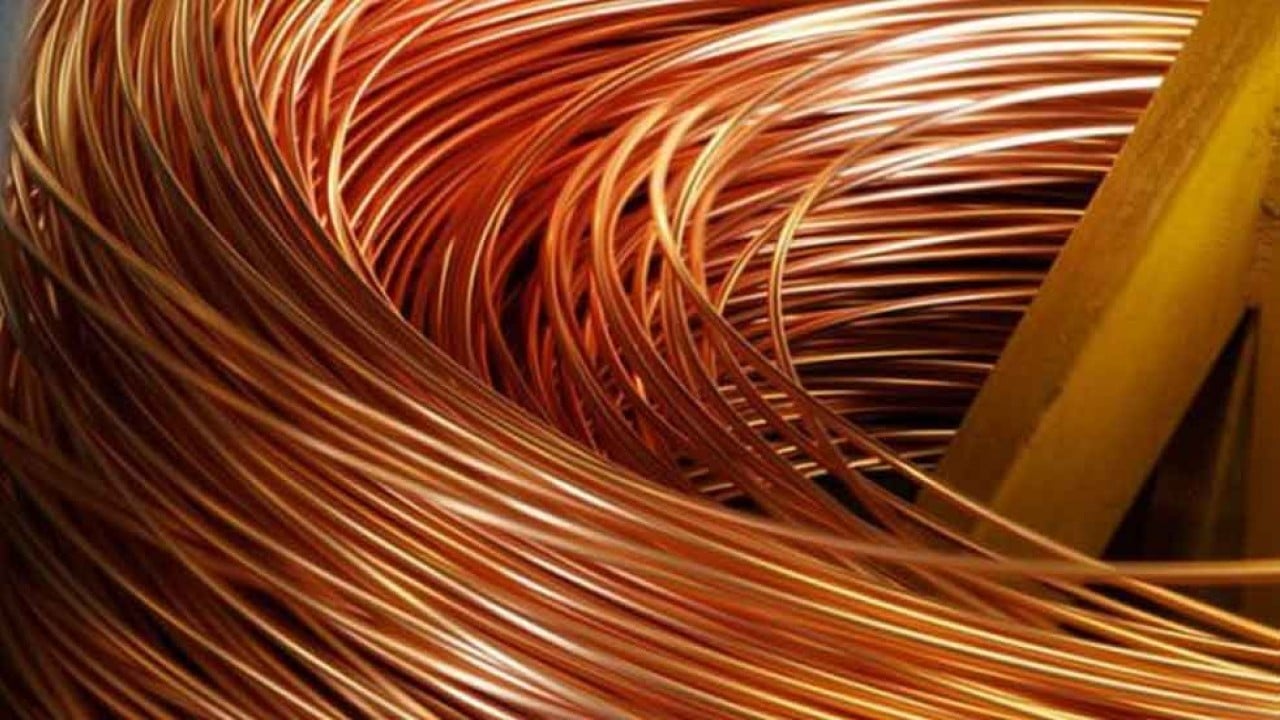 Foto - Kırmızı altın kış uykusundan uyandı, füze gibi fırladı