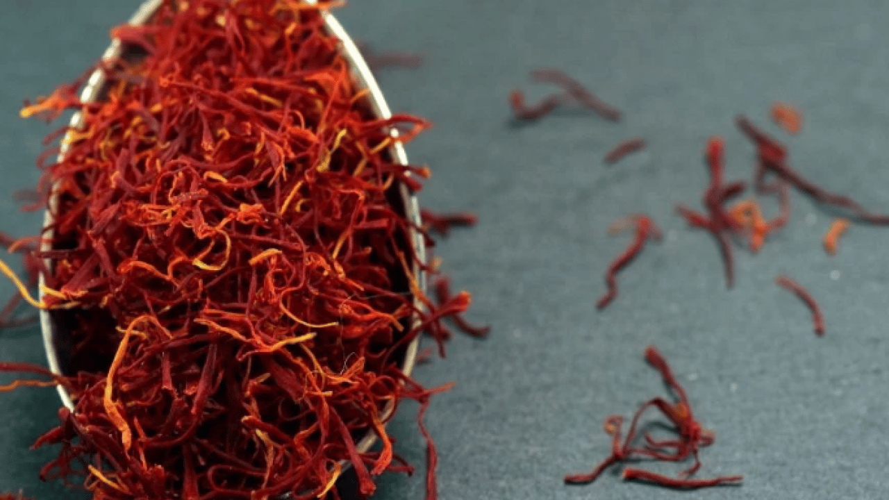 Foto - 'Kırmızı altın' hasadı başladı: Gramı 600 TL'den satılıyor!