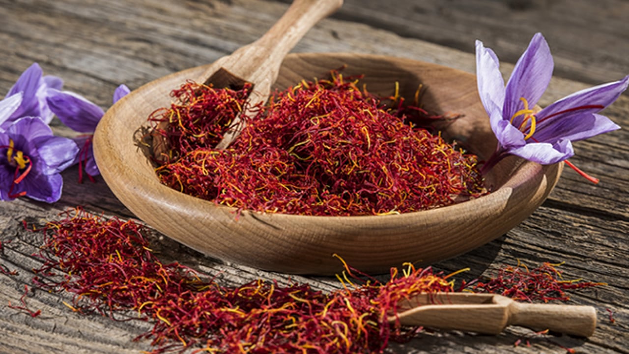 Foto - 'Kırmızı altın' hasadı başladı: Gramı 600 TL'den satılıyor!