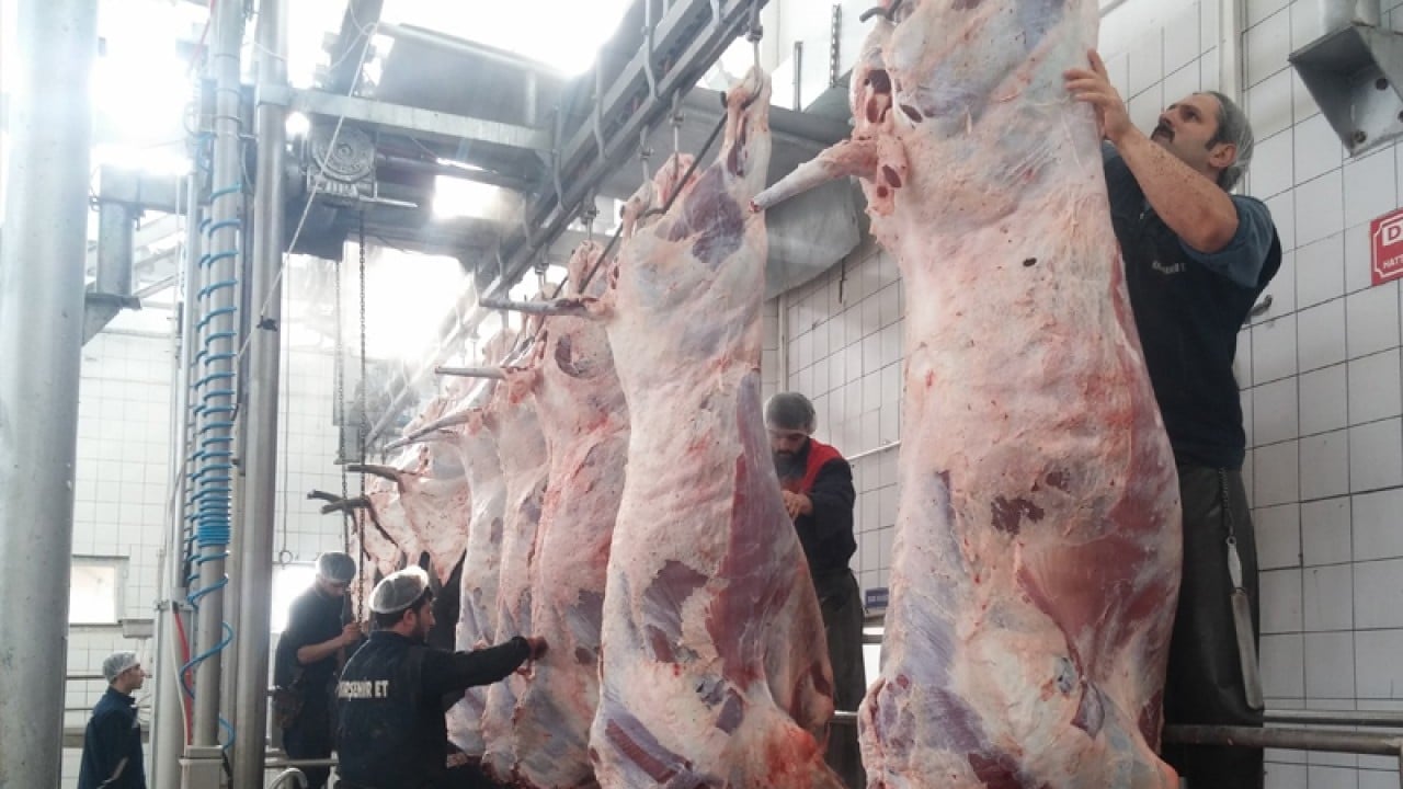 Foto - Kırmızı ete şap zammı