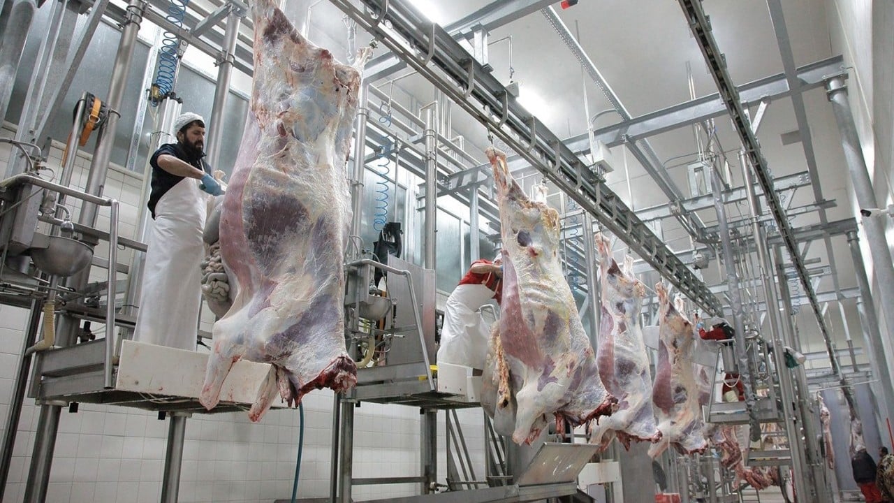 Foto - Kırmızı ete şap zammı