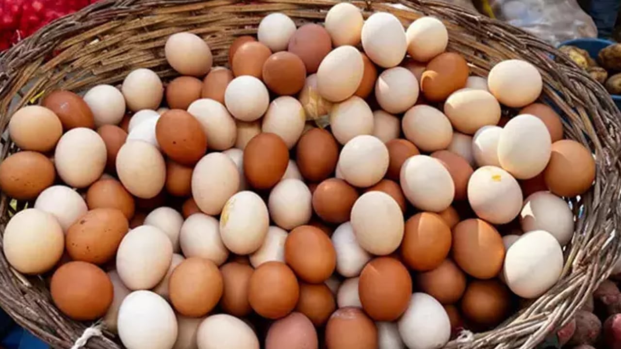 Foto - Kırmızı ete ve tavuğa bedel bitkisel protein kaynağı yumurtayı tüketin...