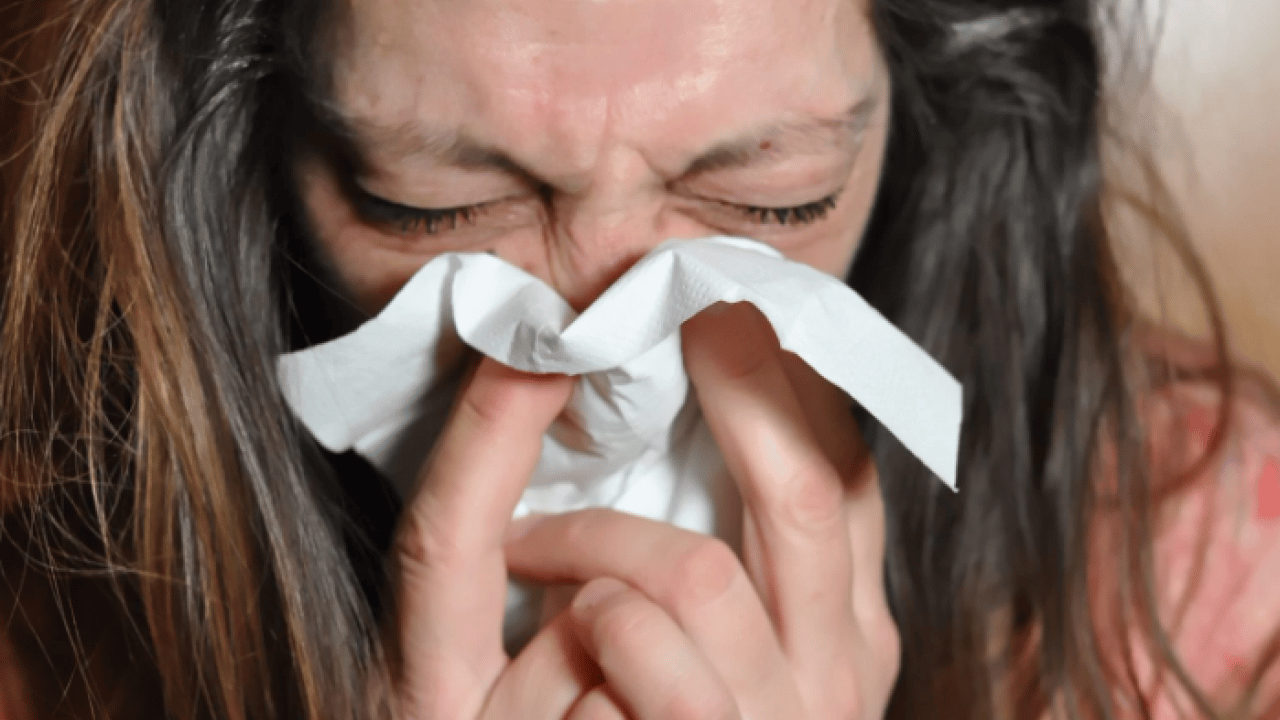 Foto - Kış ayları geldi, büyük sorun başladı! Burun akıntısından kurtulmanın doğal yolu