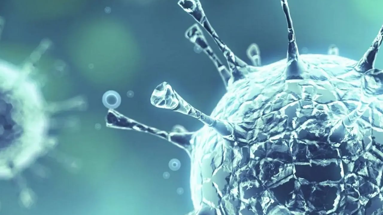 Foto - Kış aylarında talep arttı: En çok tercih edilen turşu, satışları patladı!