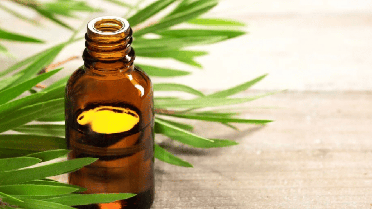 Foto - Kış aylarının kabusuna pratik çözüm! Duvarları küf ve rutubetten temizlemenin doğal yolu