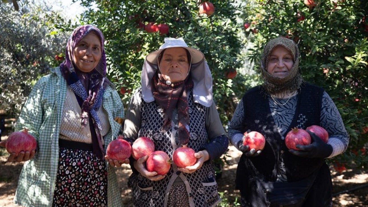 Kış aylarının şifa deposu: Kilosu tam 600 lira!