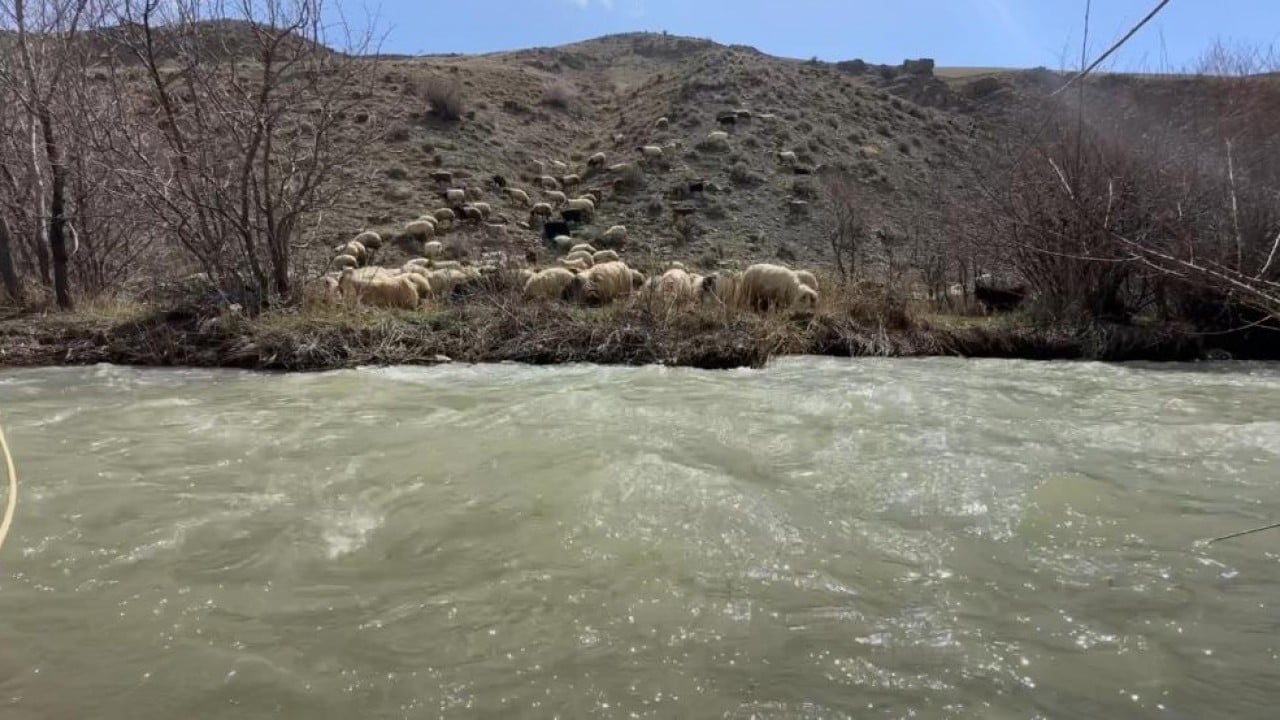 Foto - Kış bitti bahar geldi şimdi mera zamanı