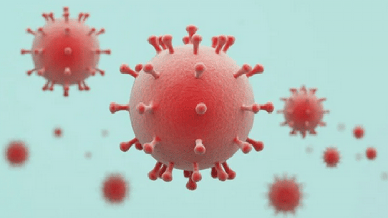 Foto - Kış geldi böyle oldu... İnfluenzaya karşı en etkili meyve: Vücuttan iltihabı söküp atıyor, antioksidan deposu