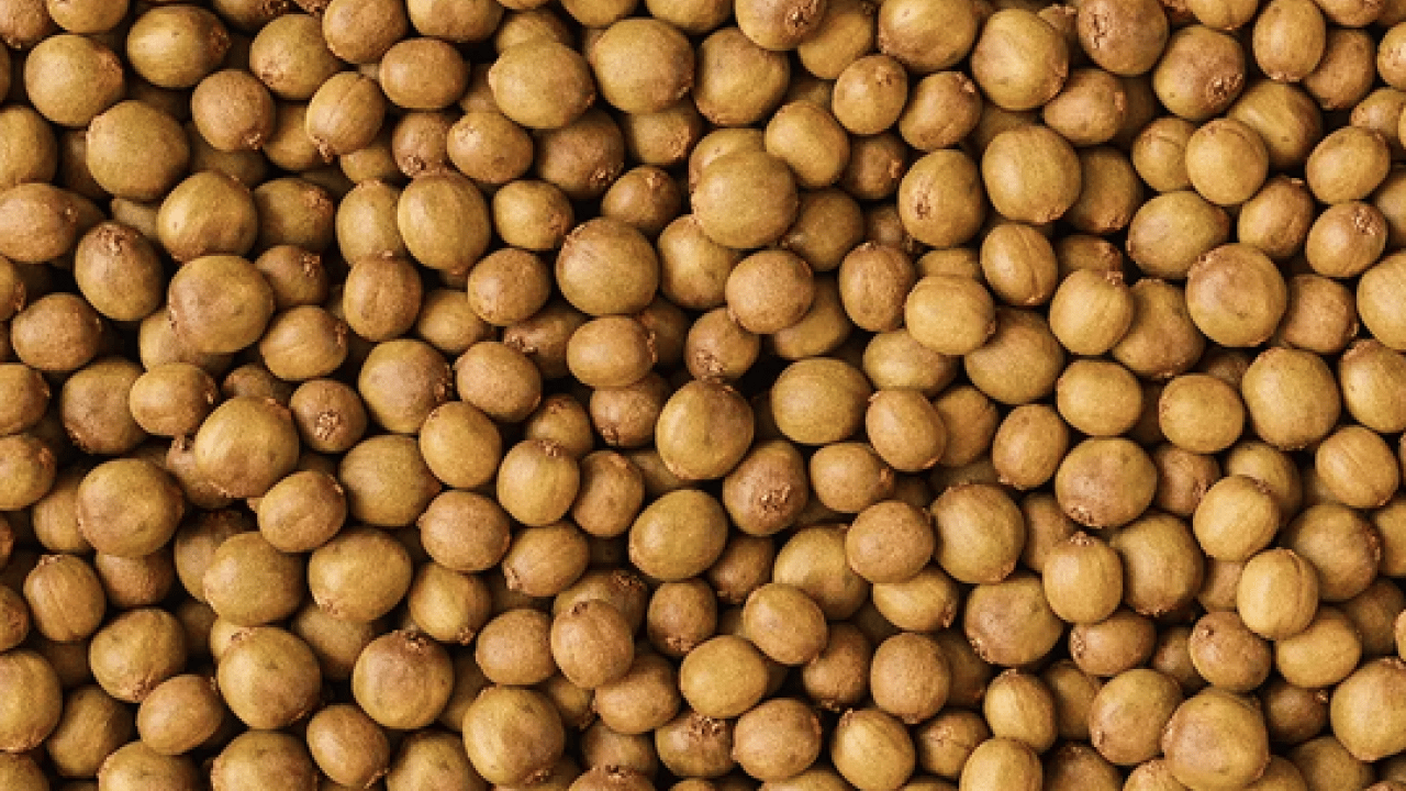 Foto - Kış geldi böyle oldu... İnfluenzaya karşı en etkili meyve: Vücuttan iltihabı söküp atıyor, antioksidan deposu