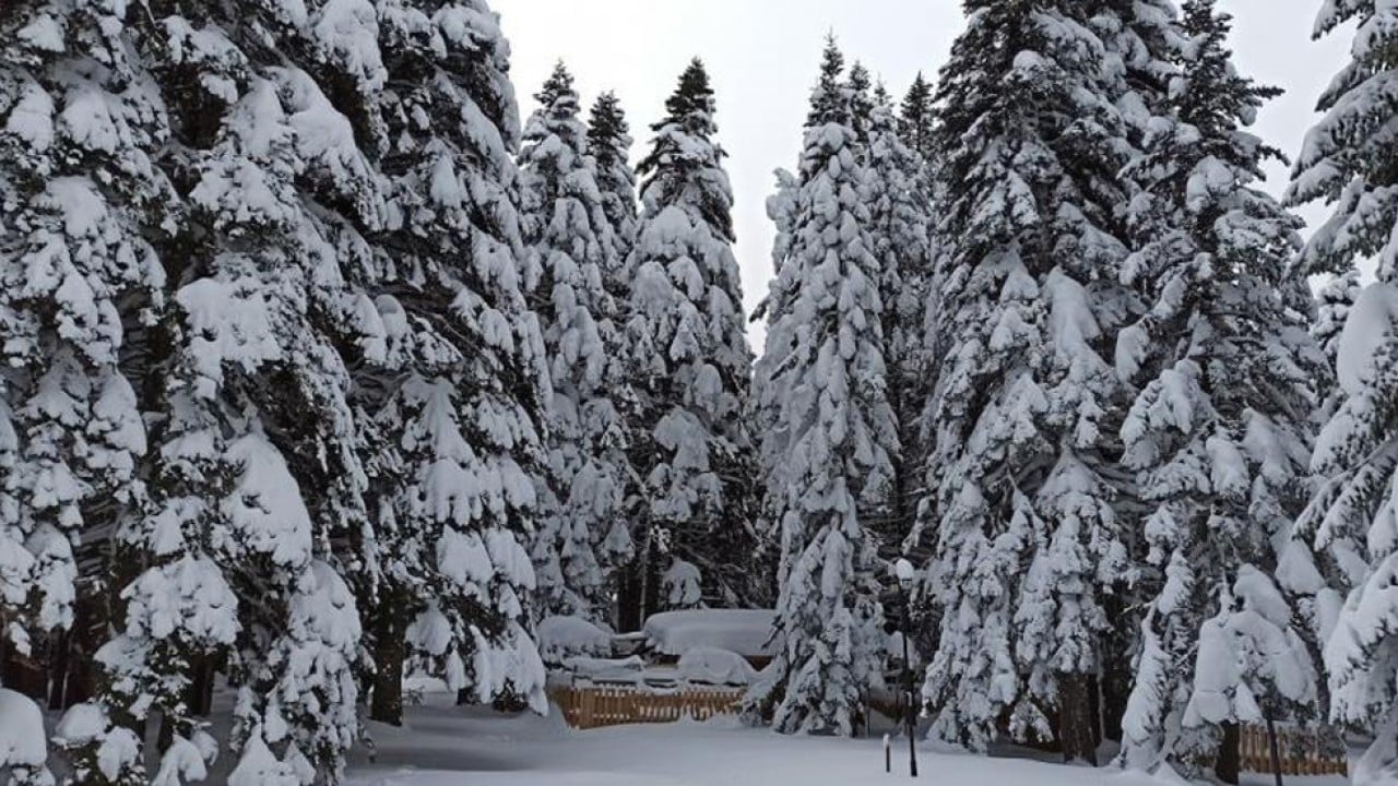 Kış geri dönüyor! Mayısta kar sürprizi yaşanacak