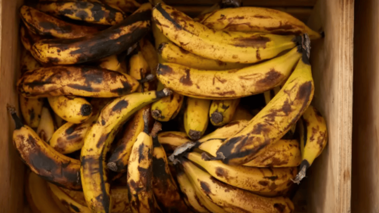 Foto - Kısa sürede kararmaya son: İşte muzların çürümesini önleyen yöntem! 